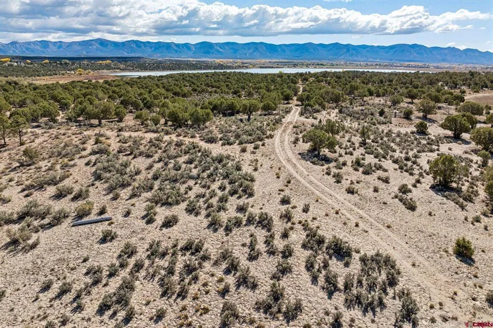 Road 29 Cortez, CO 81321