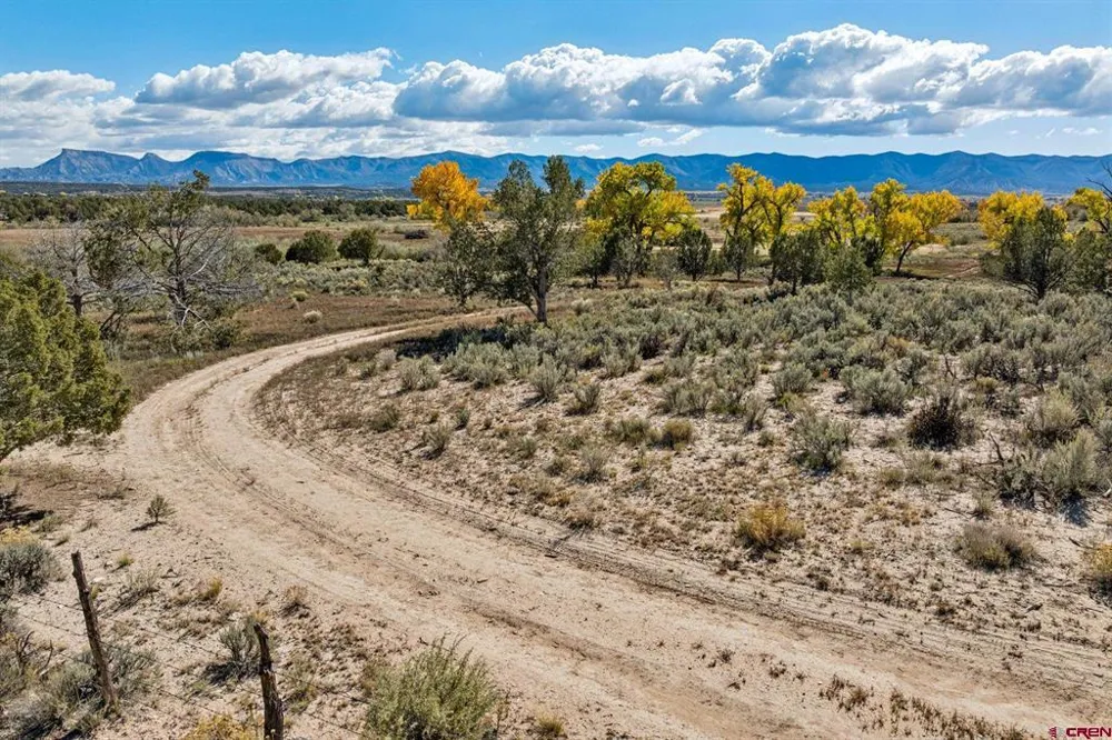 Road 29 Cortez, CO 81321