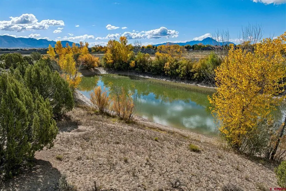 Road 29 Cortez, CO 81321