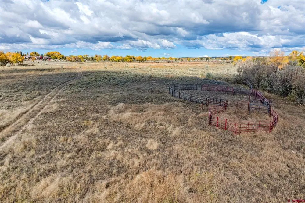 Road 29 Cortez, CO 81321