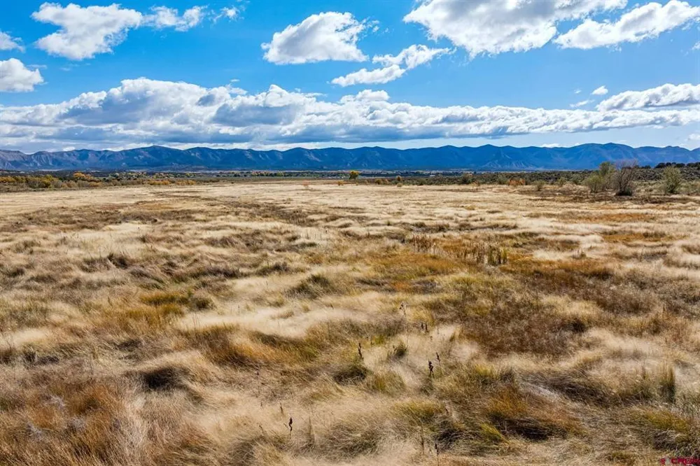 Road 29 Cortez, CO 81321