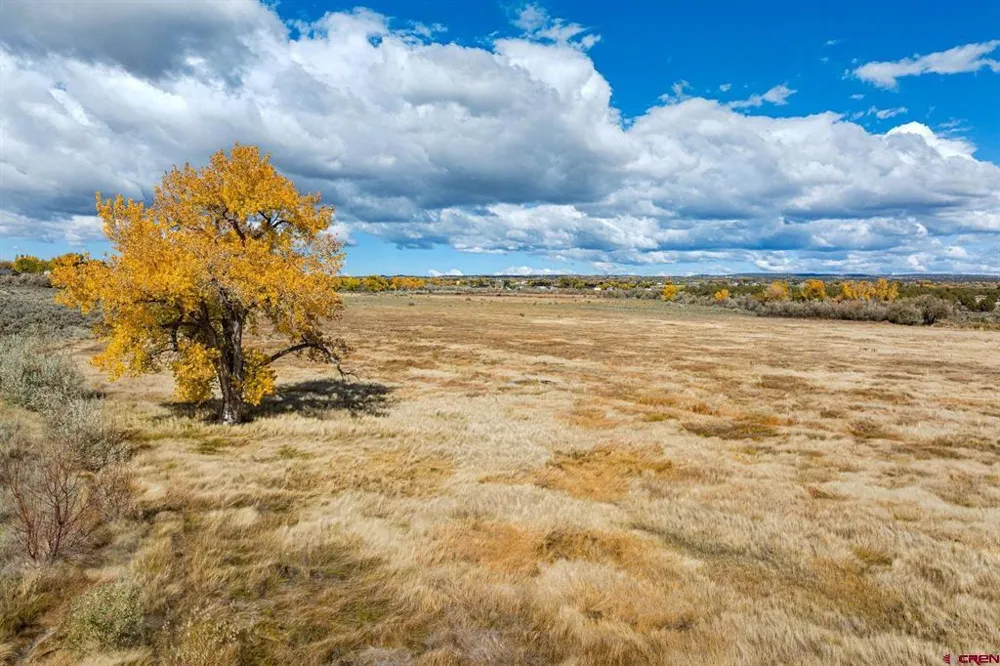Road 29 Cortez, CO 81321