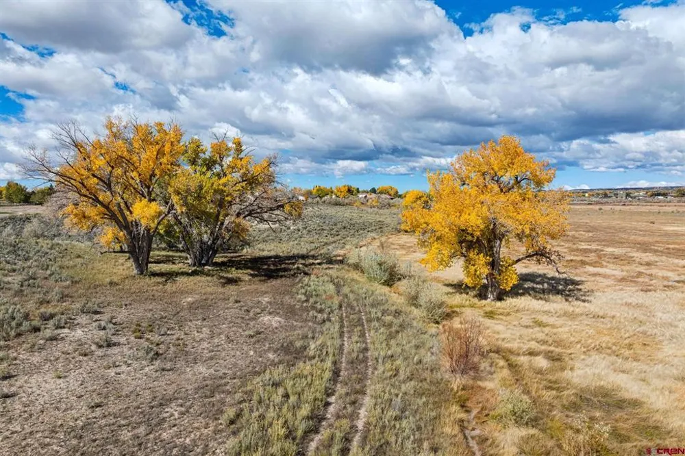 Road 29 Cortez, CO 81321