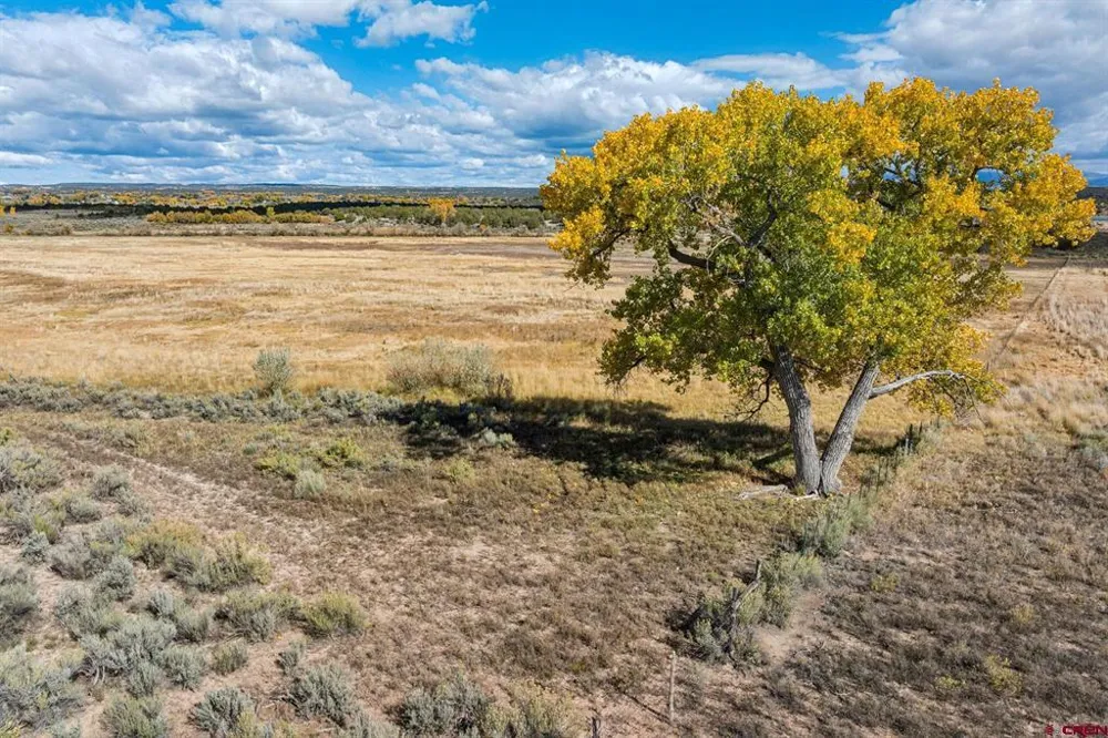 Road 29 Cortez, CO 81321