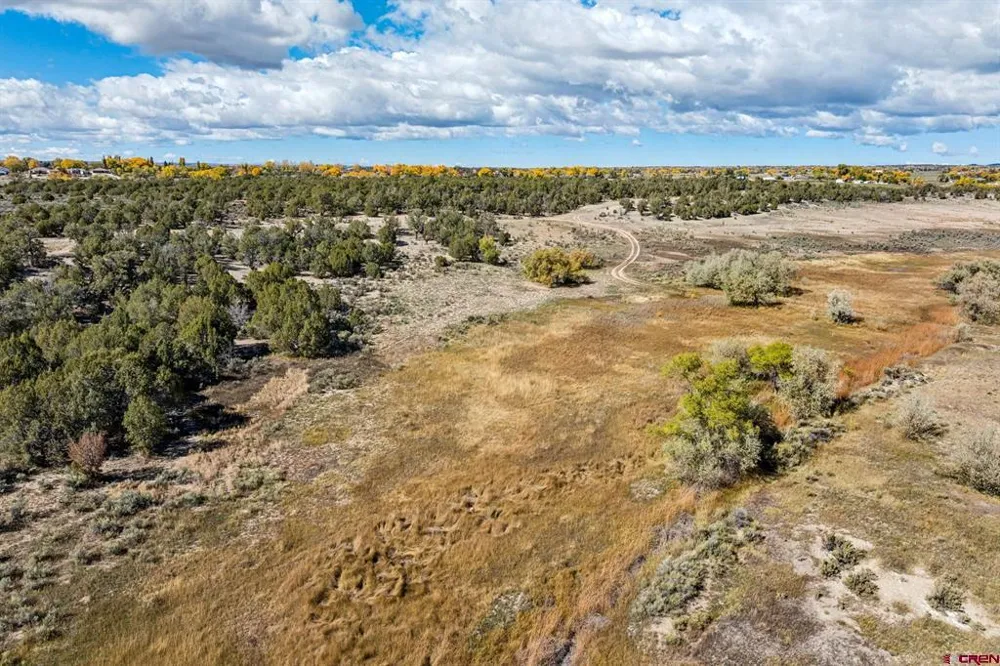 Road 29 Cortez, CO 81321