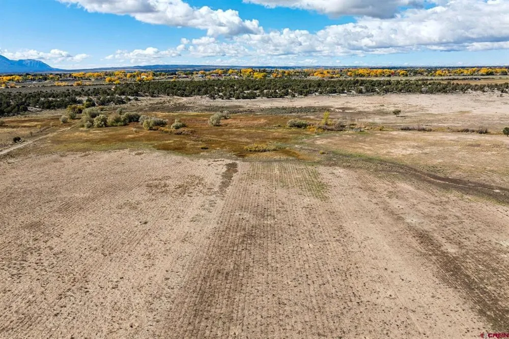 Road 29 Cortez, CO 81321