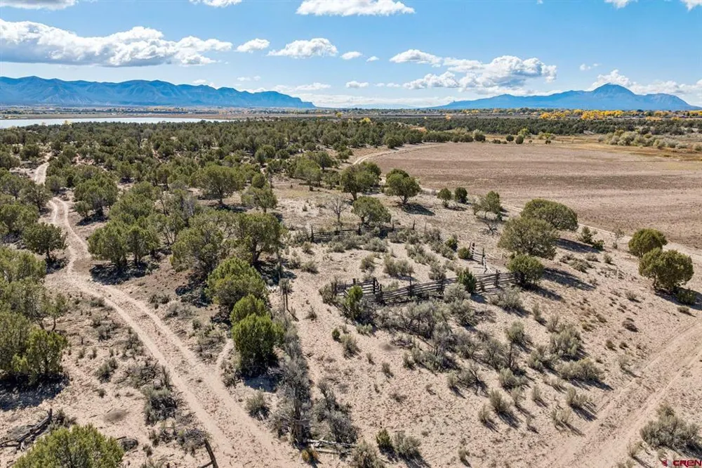 Road 29 Cortez, CO 81321
