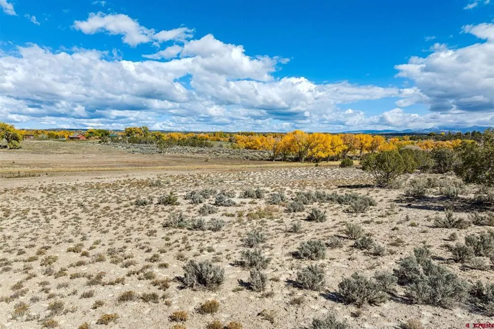 Road 29 Cortez, CO 81321