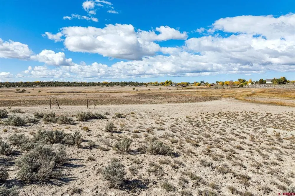 Road 29 Cortez, CO 81321