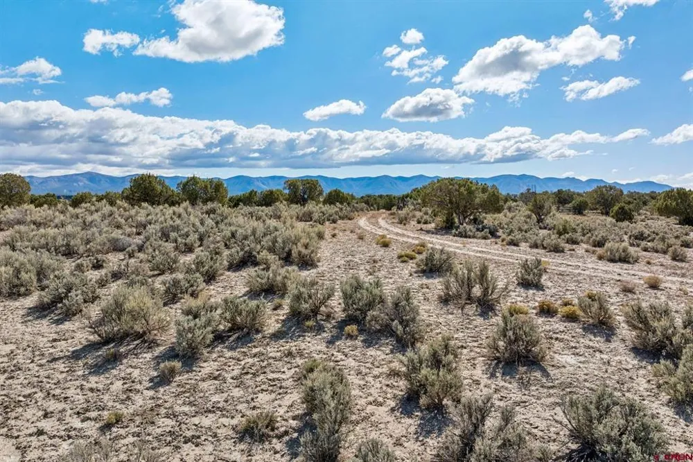Road 29 Cortez, CO 81321