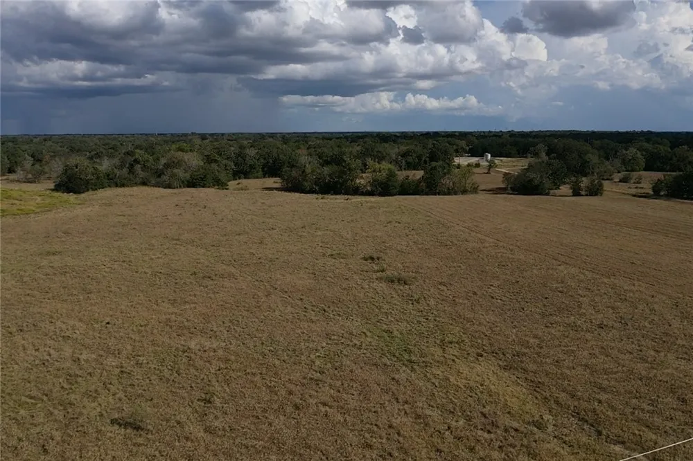 3679 Hidden Trails North Zulch, TX 77872
