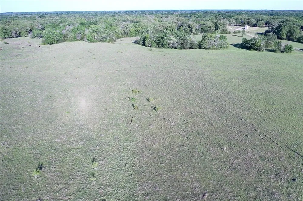 3679 Hidden Trails North Zulch, TX 77872