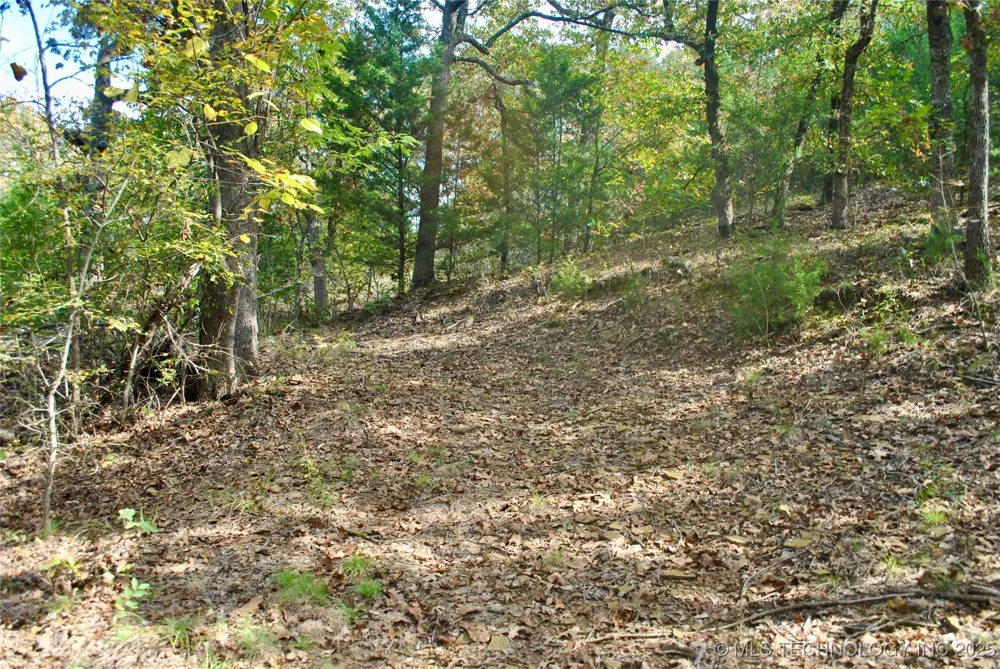 3506 Sawmill Road Caddo, OK 74729