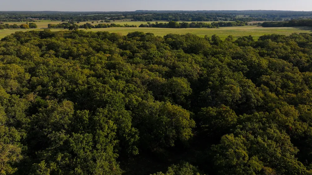 Hundley Road Montague, TX 76251