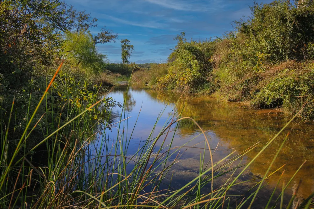 Hundley Road Montague, TX 76251