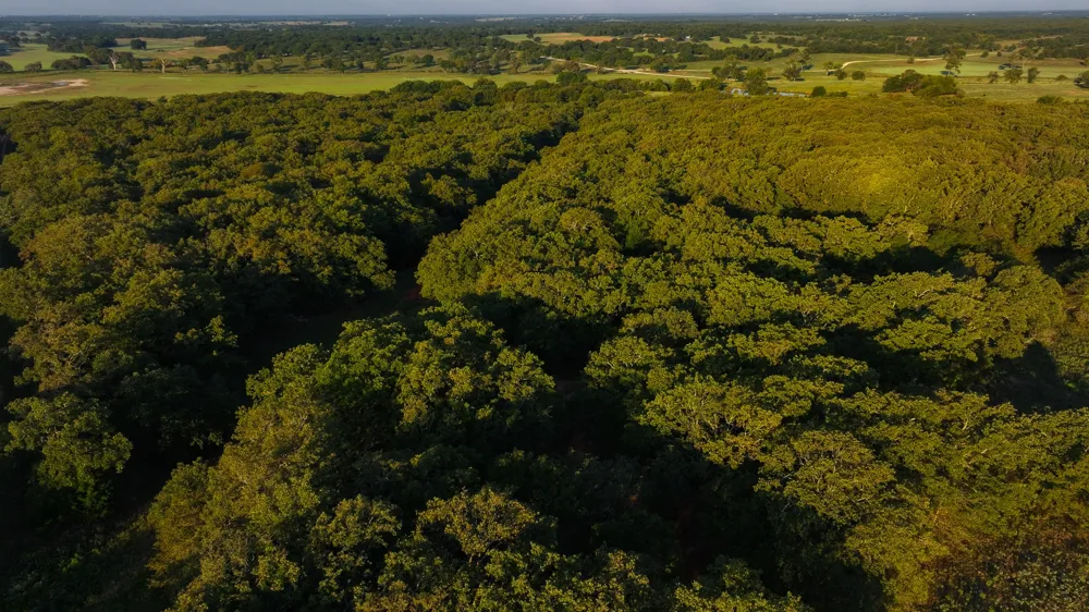 Hundley Road Montague, TX 76251
