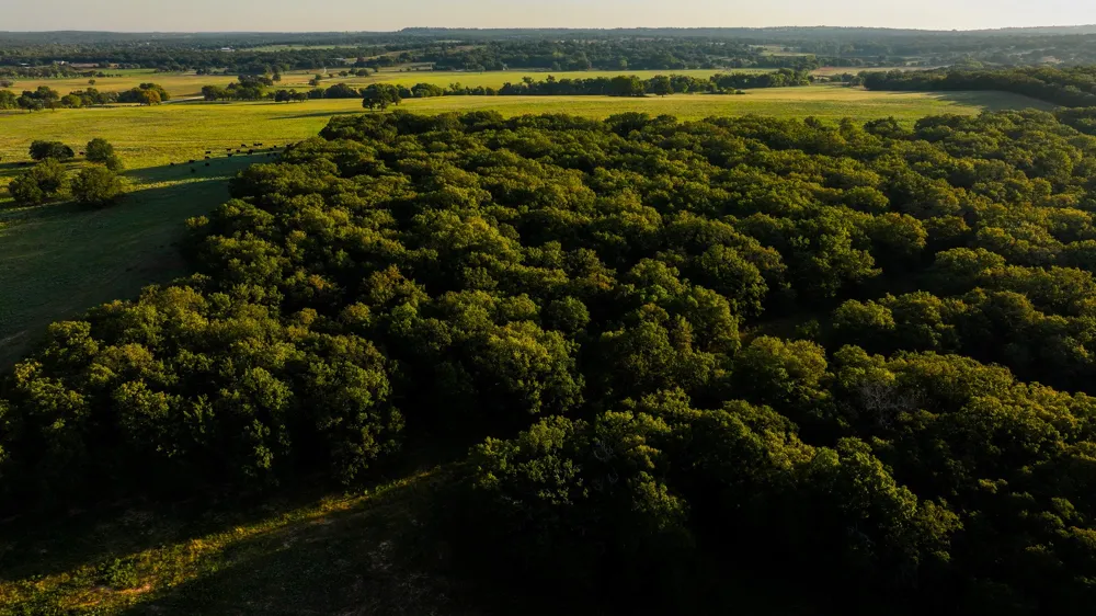 Hundley Road Montague, TX 76251