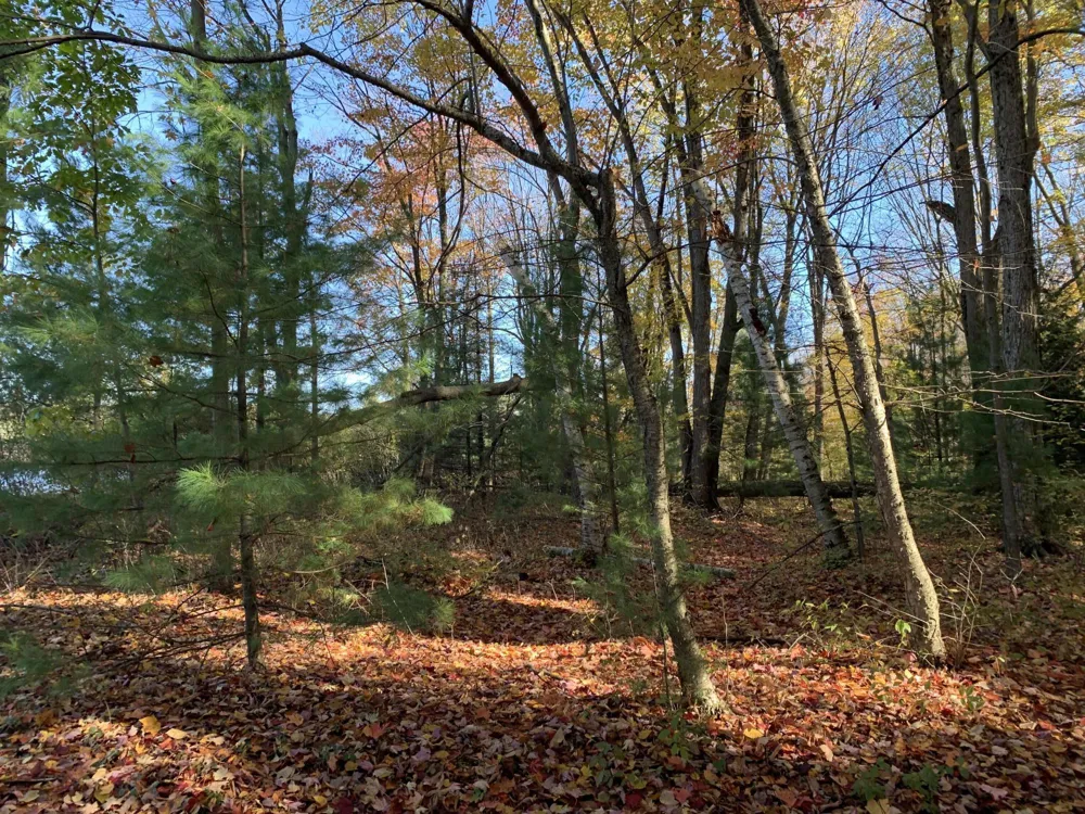 E Rossel Lake Road Walkerville, MI 49459