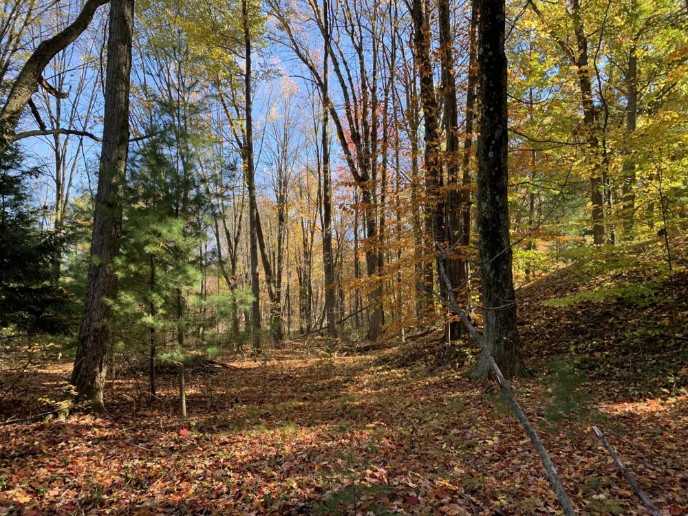 E Rossel Lake Road Walkerville, MI 49459
