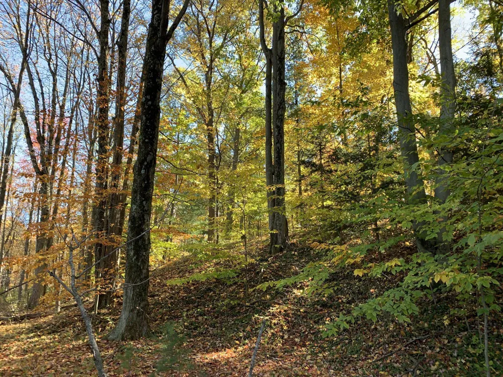 E Rossel Lake Road Walkerville, MI 49459