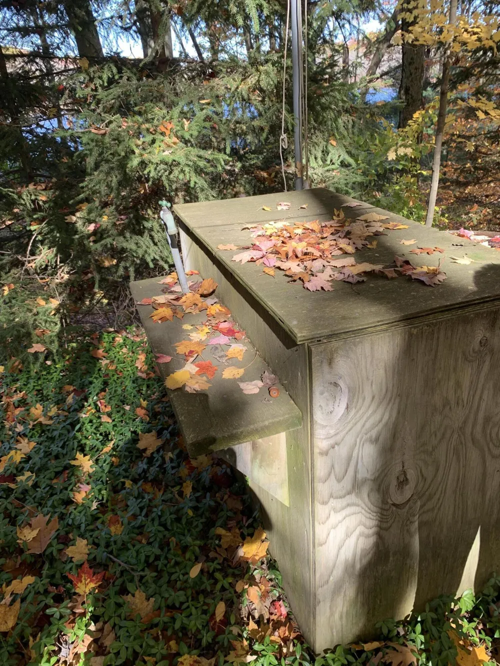 E Rossel Lake Road Walkerville, MI 49459