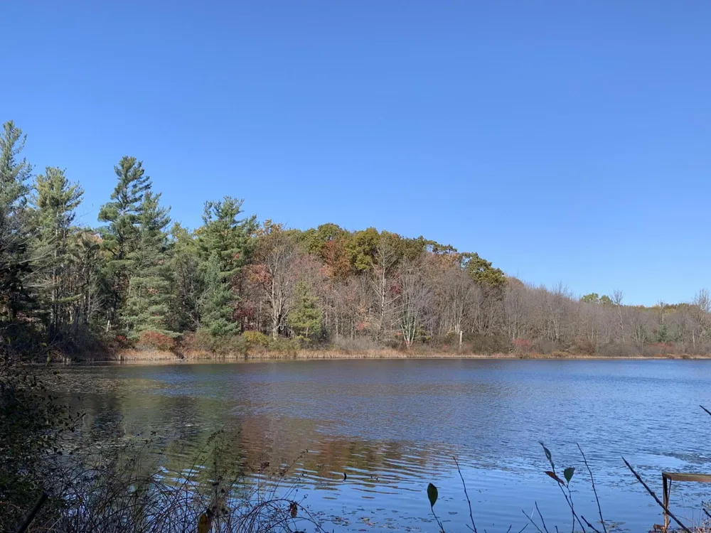 E Rossel Lake Road Walkerville, MI 49459