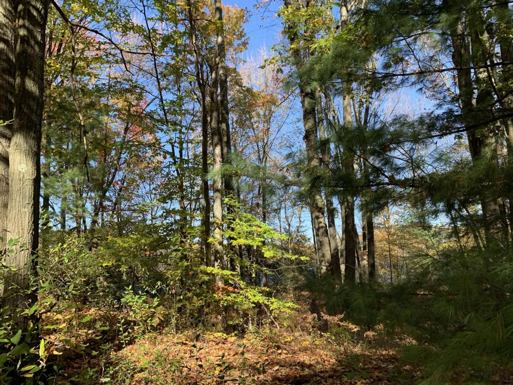 E Rossel Lake Road Walkerville, MI 49459