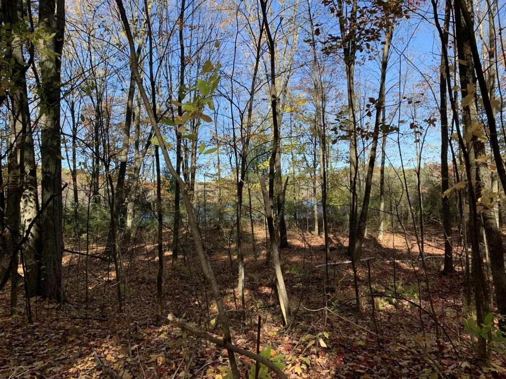 E Rossel Lake Road Walkerville, MI 49459