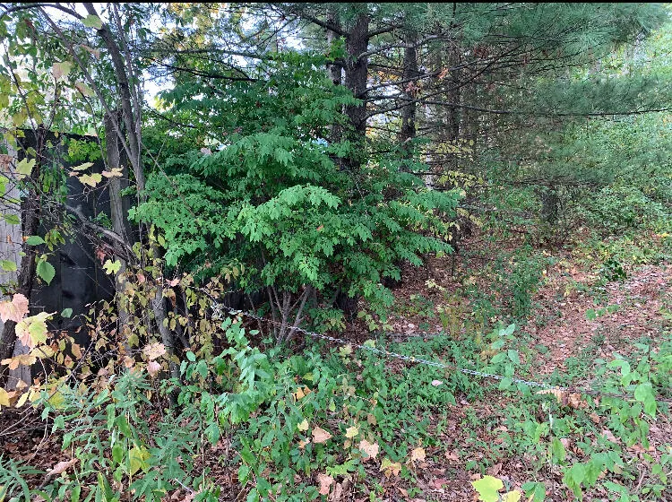 E Rossel Lake Road Walkerville, MI 49459