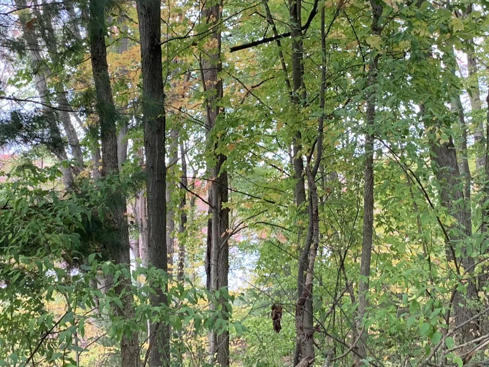 E Rossel Lake Road Walkerville, MI 49459