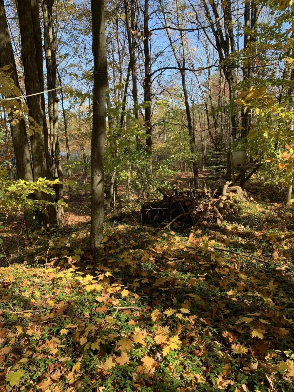 E Rossel Lake Road Walkerville, MI 49459
