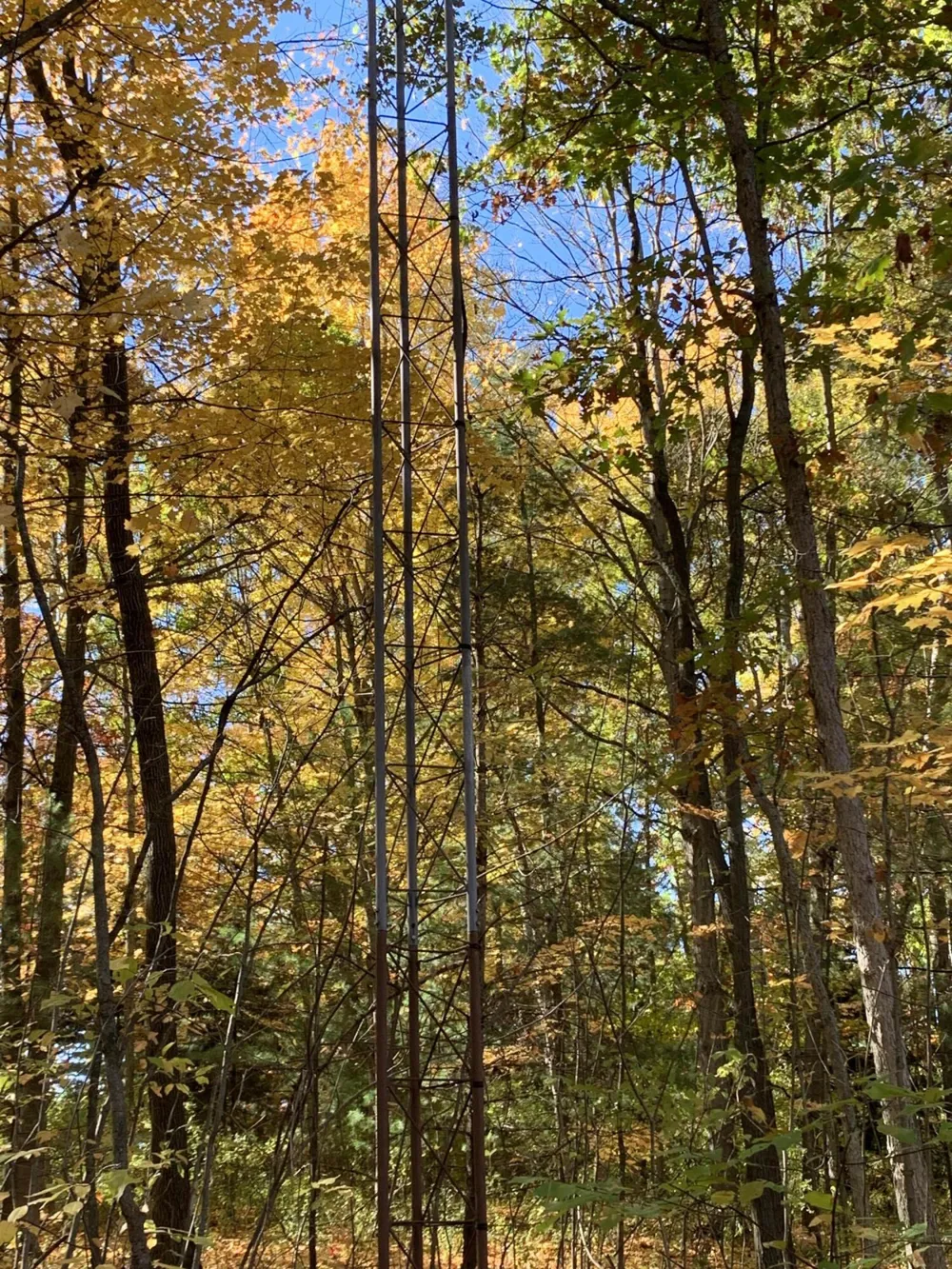 E Rossel Lake Road Walkerville, MI 49459