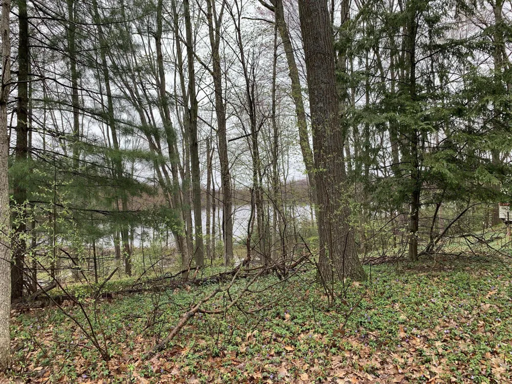 E Rossel Lake Road Walkerville, MI 49459