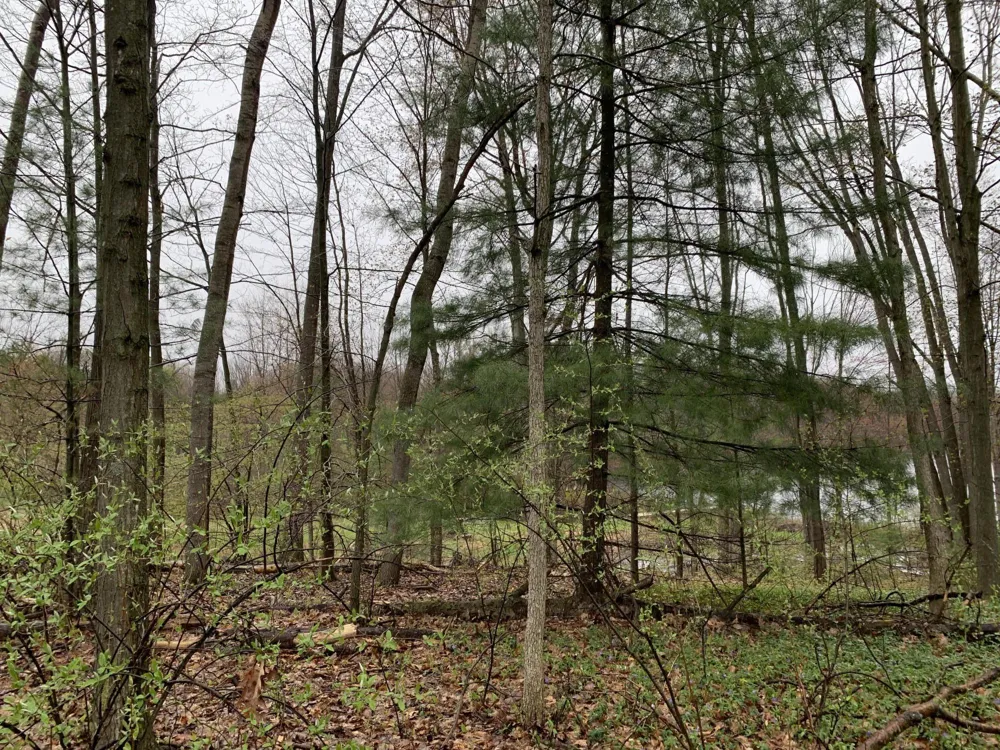 E Rossel Lake Road Walkerville, MI 49459