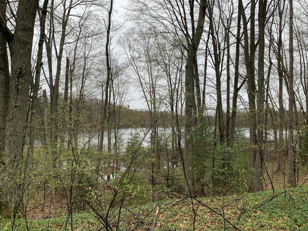 E Rossel Lake Road Walkerville, MI 49459
