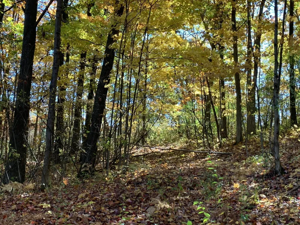 E Rossel Lake Road Walkerville, MI 49459