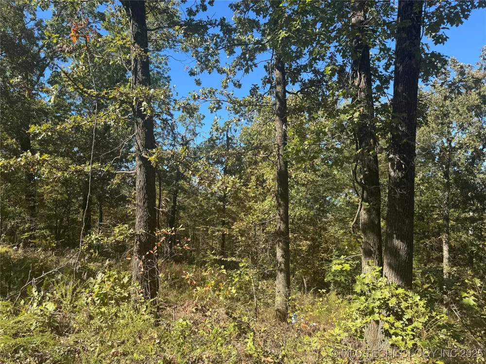 7 W 867 ROAD Park Hill, OK 74451