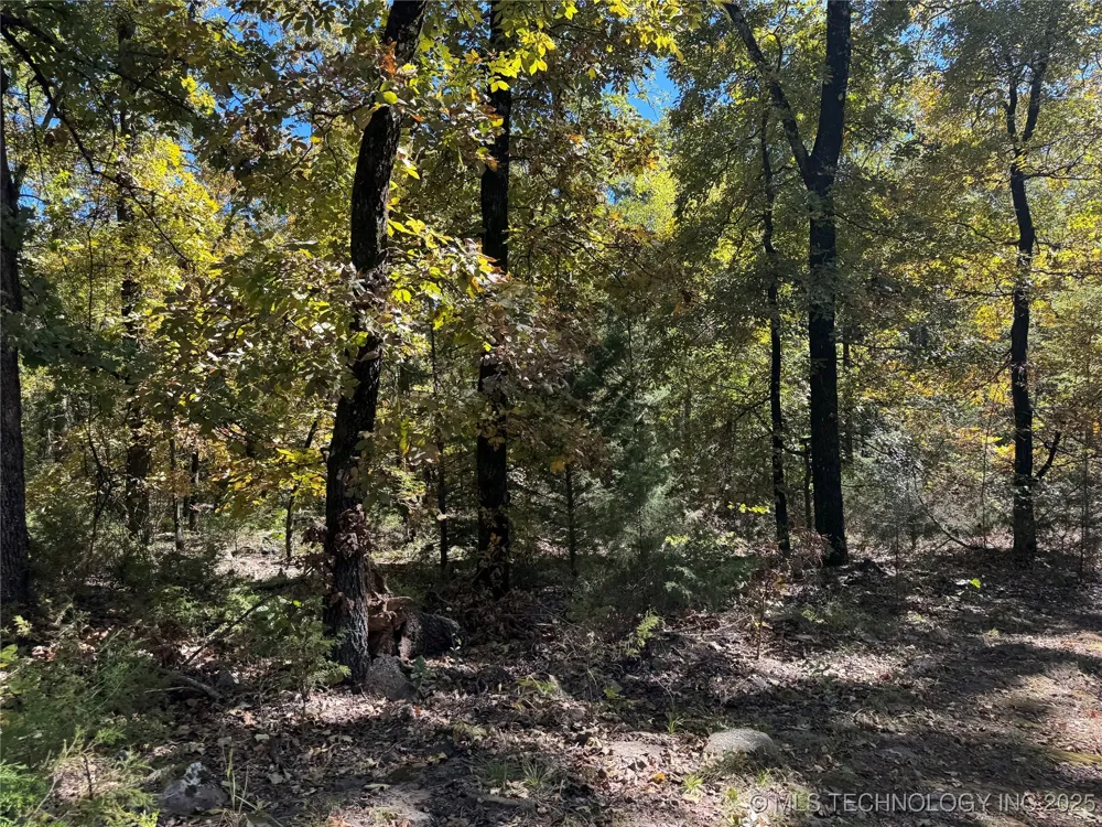 6 W 867 ROAD Park Hill, OK 74451