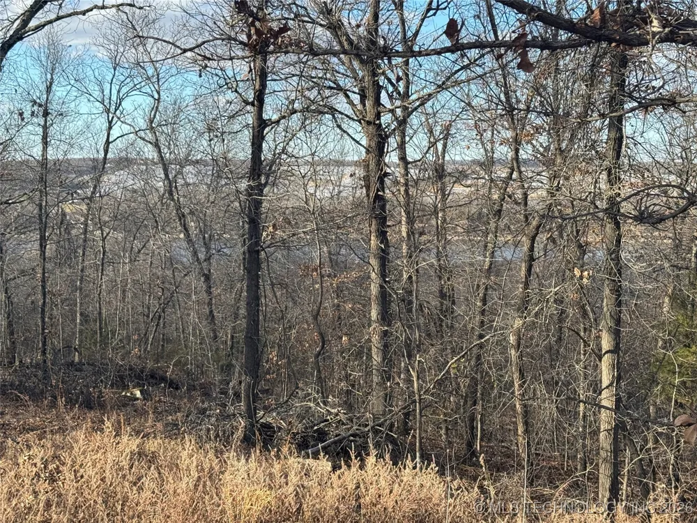 6 W 867 ROAD Park Hill, OK 74451