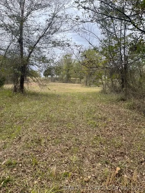 32782 S 4310 ROAD Big Cabin, OK 74332
