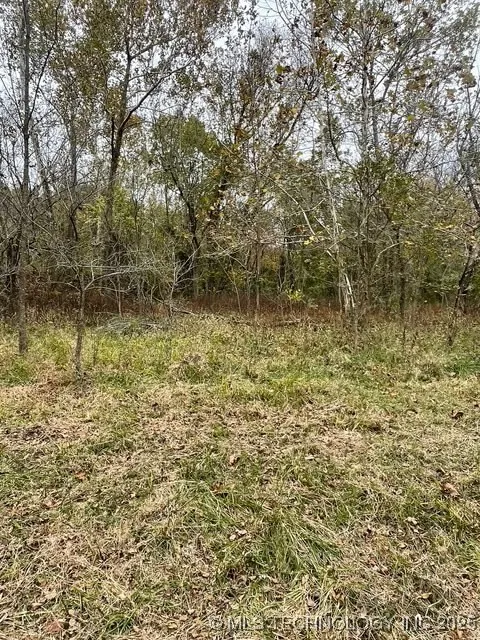 32782 S 4310 ROAD Big Cabin, OK 74332