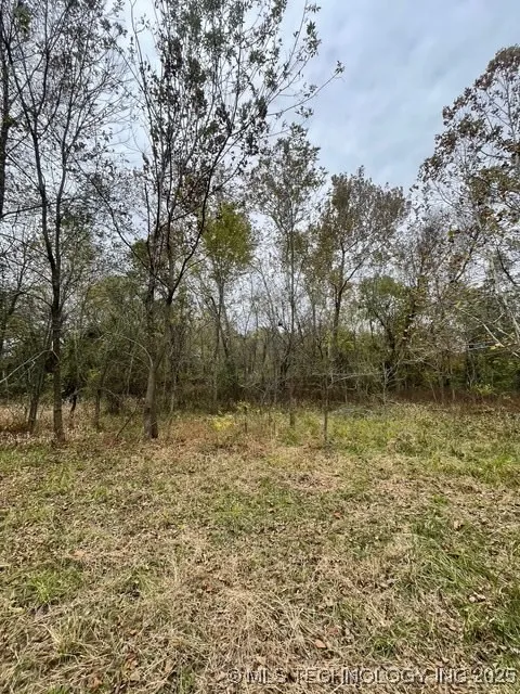 32782 S 4310 ROAD Big Cabin, OK 74332