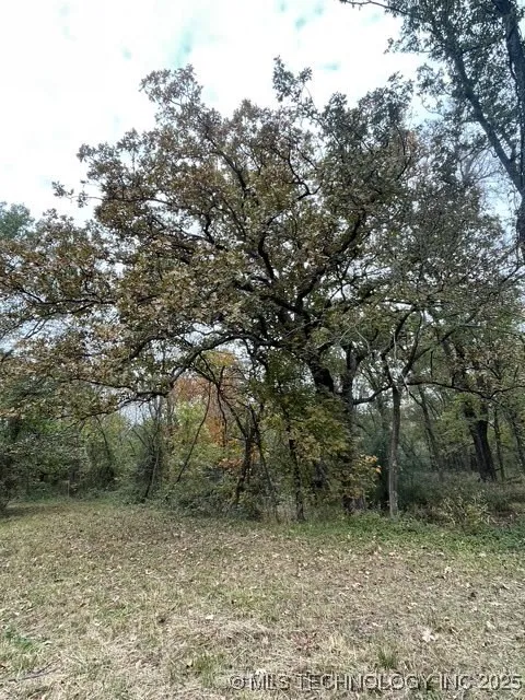 32782 S 4310 ROAD Big Cabin, OK 74332
