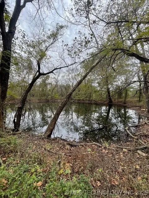 32782 S 4310 ROAD Big Cabin, OK 74332