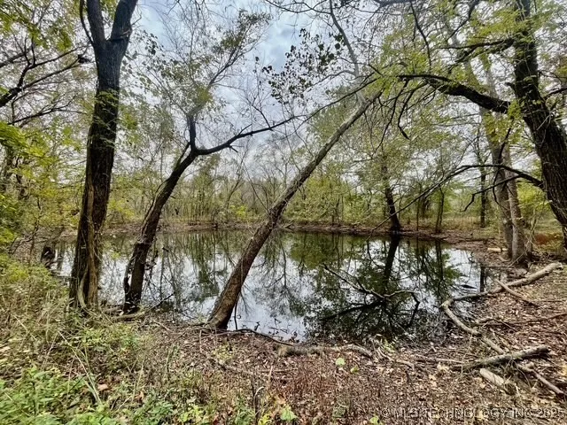 32782 S 4310 ROAD Big Cabin, OK 74332