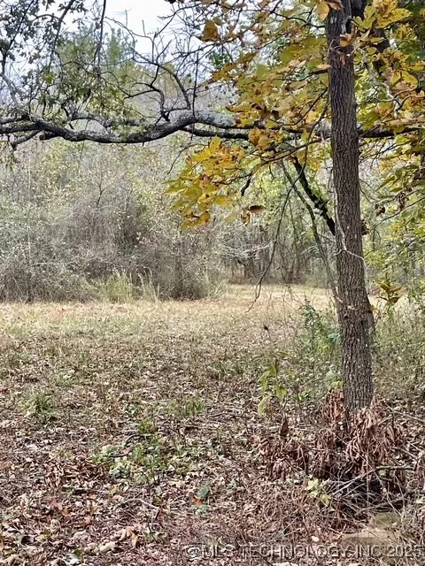 32782 S 4310 ROAD Big Cabin, OK 74332