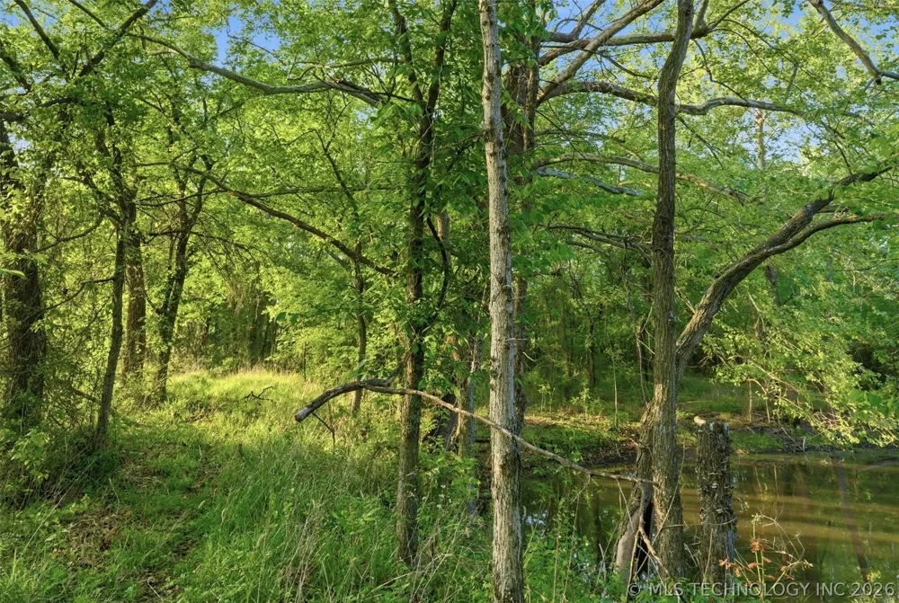 32782 S 4310 ROAD Big Cabin, OK 74332