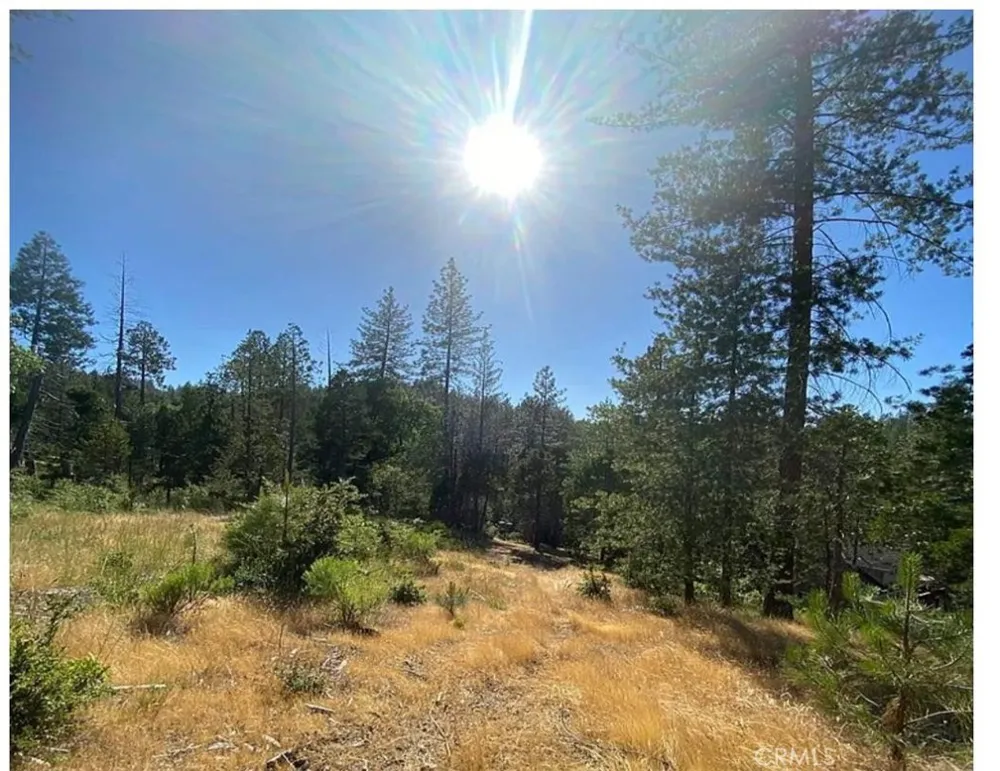 Pine Mountain Drive Groveland, CA 95321