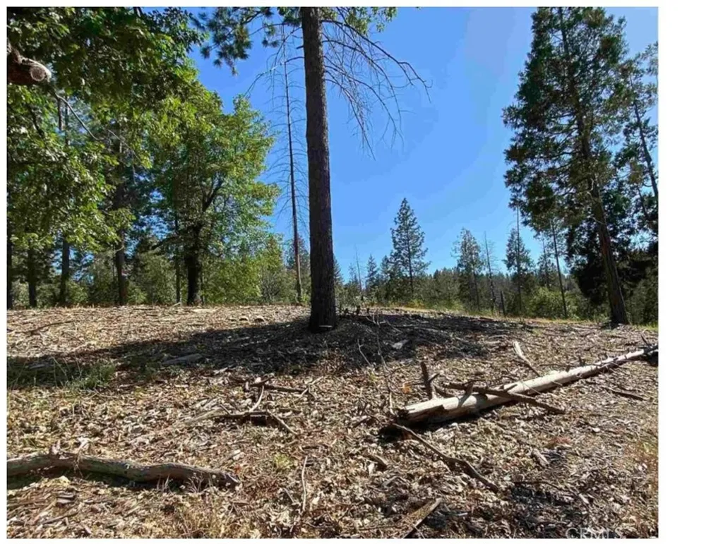 Pine Mountain Drive Groveland, CA 95321