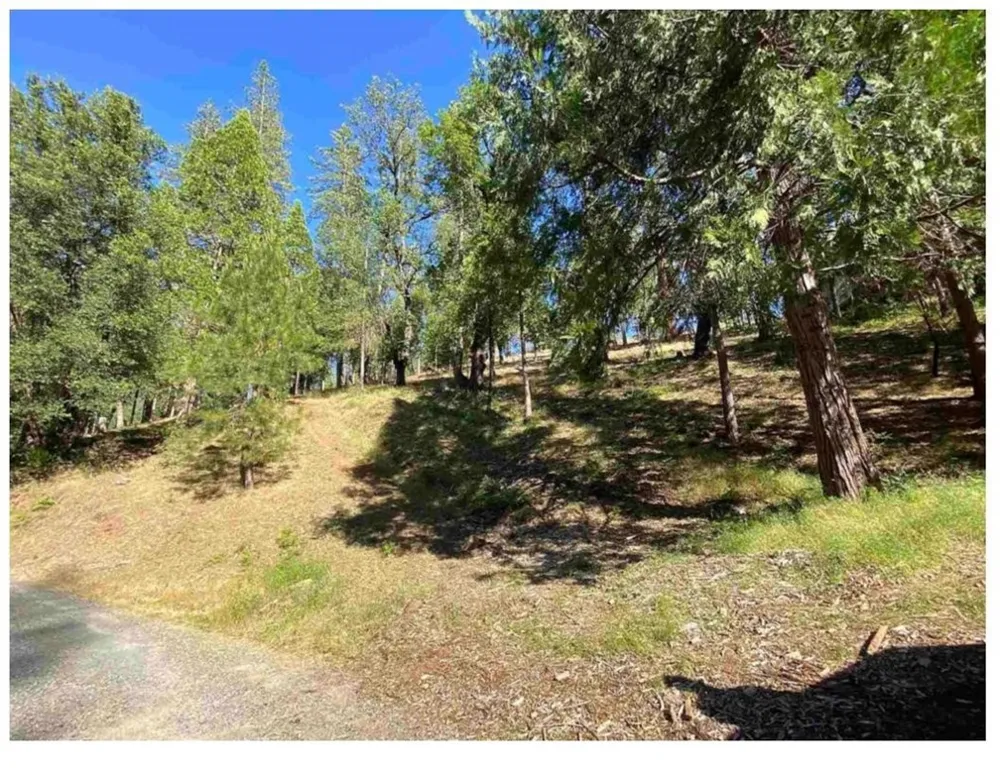 Pine Mountain Drive Groveland, CA 95321